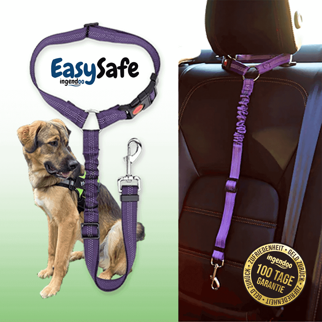 Sicher unterwegs: Der zuverlässige Auto-Sicherheitsgurt für Hunde –