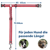 ingendoo EasySafe - Antischock Auto-Sicherung für Deinen Hund