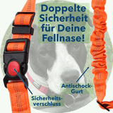 ingendoo EasySafe - Antischock Auto-Sicherung für Deinen Hund